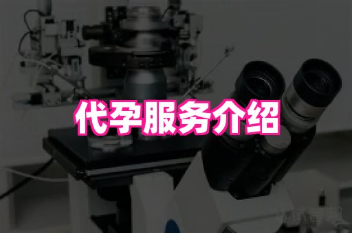 成都助孕网站 1