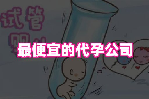 成都助孕网站 4